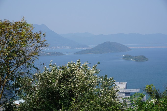 香港亚洲都市,香港浪漫街头