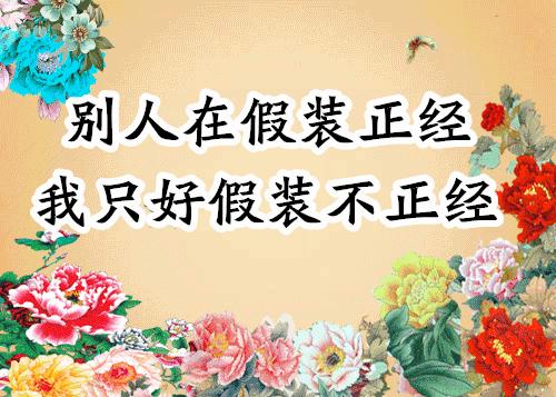 会动的图片大全大图,会动的花动态图片