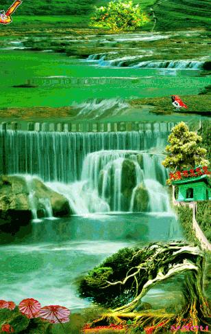 会动的图片大全大图,会动的花动态图片