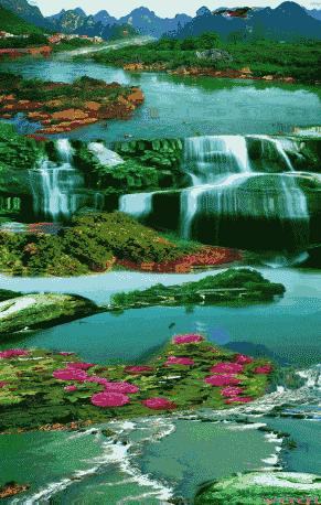 会动的图片大全大图,会动的花动态图片