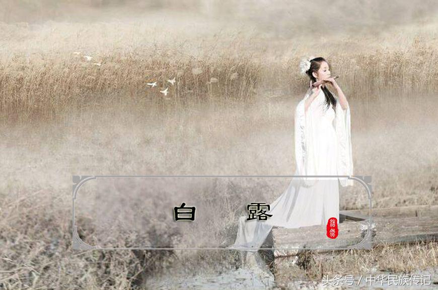 白露是昼夜温差最大的节气,白露节气天气怎么样