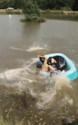 专治不开心的笑话段子图片,专治不开心搞笑段子图文