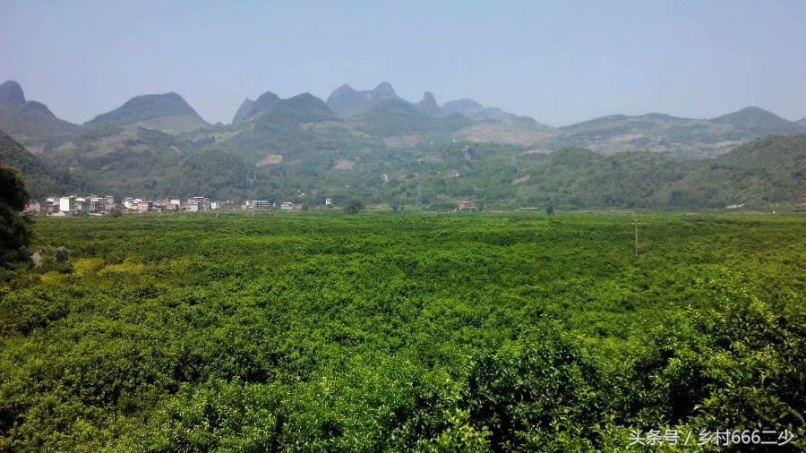 平凡之路赏析,平凡之路赏析及感悟