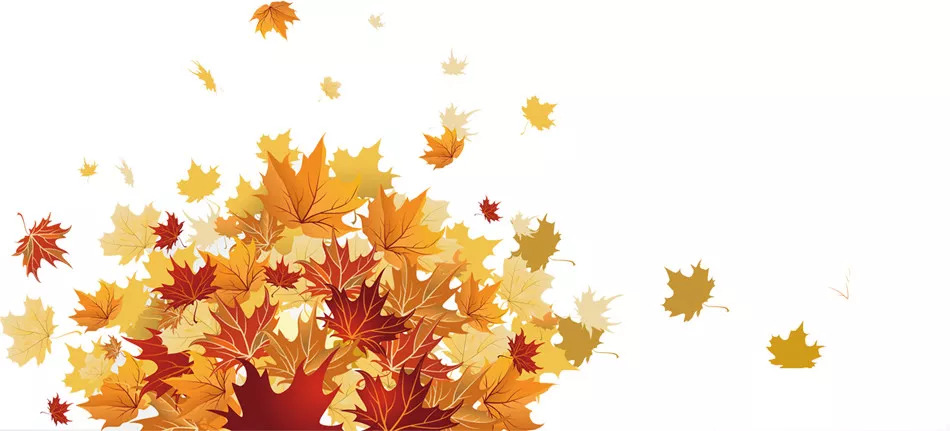 白露时节养生起居篇,白露防脾胃受寒养生之道网