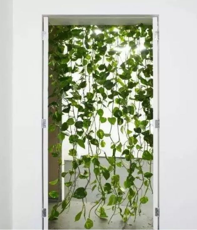 植物窗帘图案,植物窗帘效果图大全