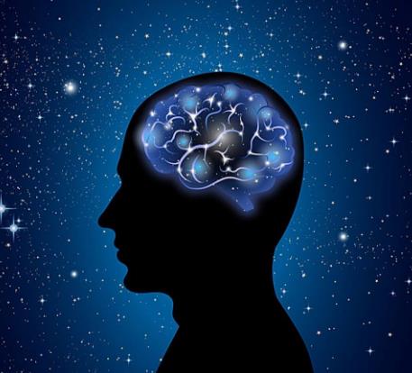 恐龙为什么如此巨大,恐龙为什么能长那么大的原因