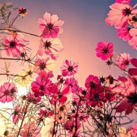 现在赚钱方式变了,怎样赚钱,北京显达帅仪科技公司张总分享