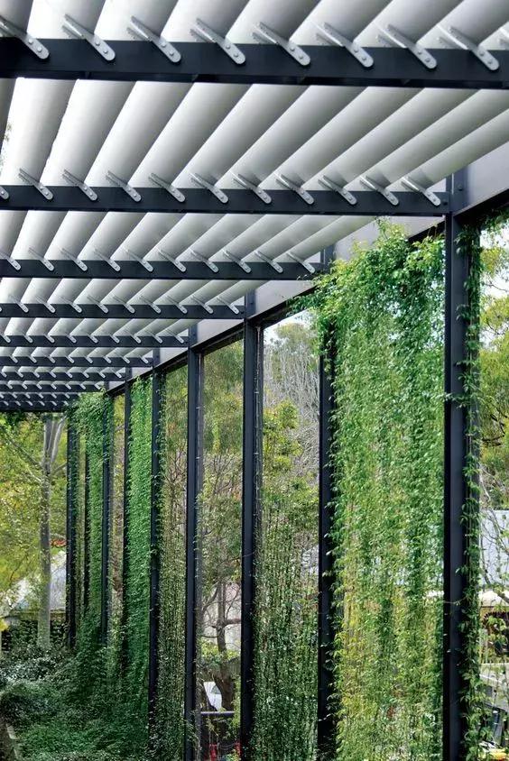 植物窗帘图案,植物窗帘效果图大全