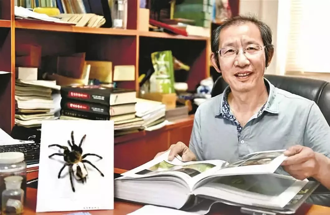 荆楚好老师评选,荆楚好老师名单出炉