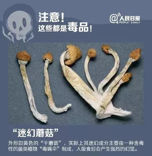 蓝精灵对人体危害,蓝精灵毒品的危害的报道