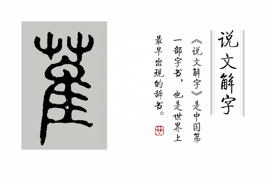 《说文解字》第53课:“茥”这个字,原来指这种适合男人吃的水果