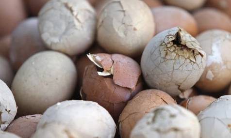 种蛋营养比普通蛋营养好吗,吃蛋多多的副作用