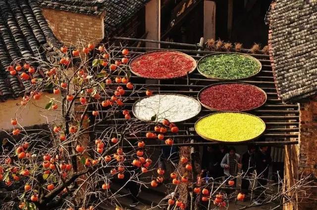 秋天最美婺源,秋季的婺源据说很美