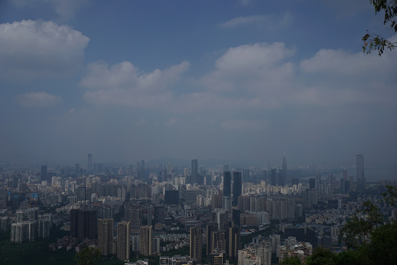 深圳南山周末玩乐推荐,深圳南山中山公园一日游攻略