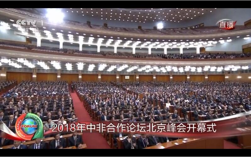 小真菌,小真菌大用途