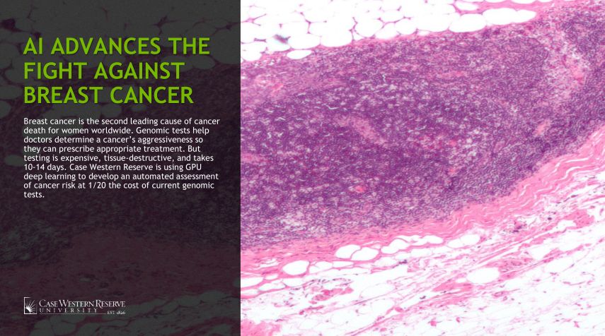 深度学习与医学影像,基于深度学习的医学影像分析