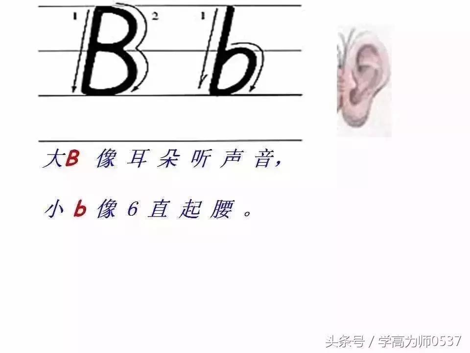 英语26个英文字母书写要求,学英语26个字母视频教程