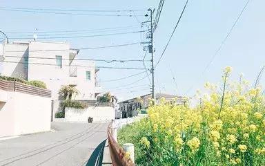 网友们的相亲经历,网友之间的故事