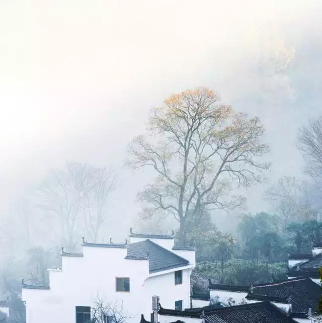 秋天婺源自由行攻略,秋天婺源游玩最新攻略