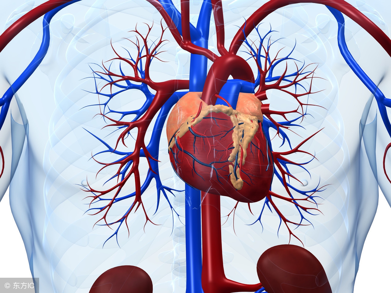 男子腹痛到医院就诊结果震惊,男子腹痛难忍医生一查