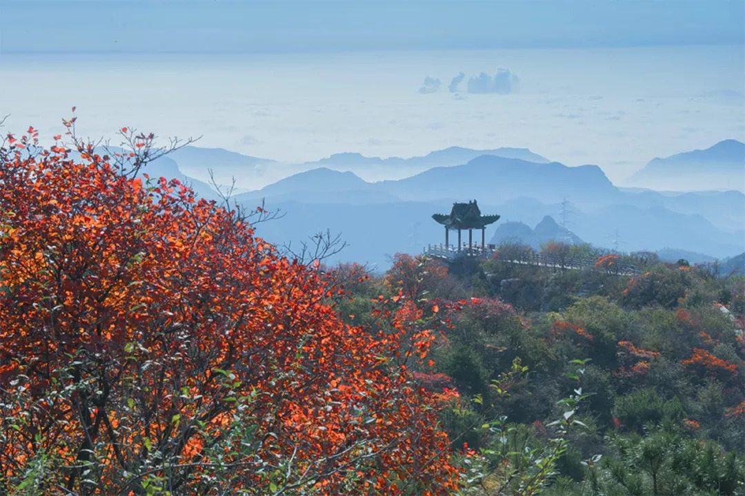青龙峡旅游专线怎么买票,青龙峡旅游专线预订电话