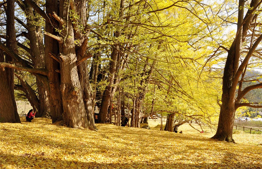 贵州什么季节最合适去旅行,未来三年贵州旅游攻略计划