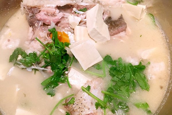 40款鱼的家常做法合集附详细教程,食谱10种草鱼的家常做法