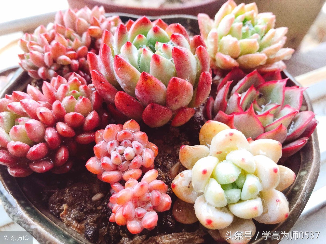 描写中秋佳节的作文400字,关于中秋佳节思念亲人的作文