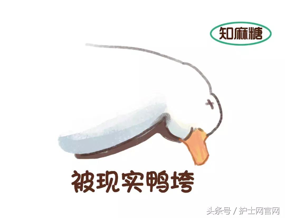 只有医生才懂的浪漫语句,只有医生看懂的幽默梗