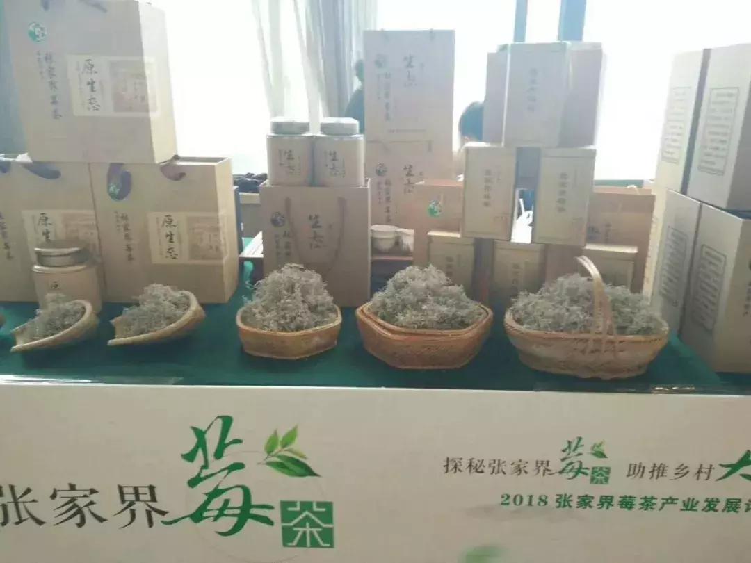 张家界莓茶文化节,2023张家界莓茶节