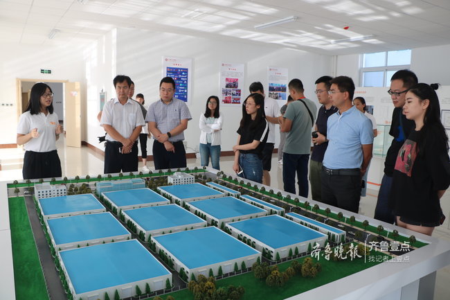 爸爸的选择极素纸尿裤评测,纸尿裤排行榜10强分析