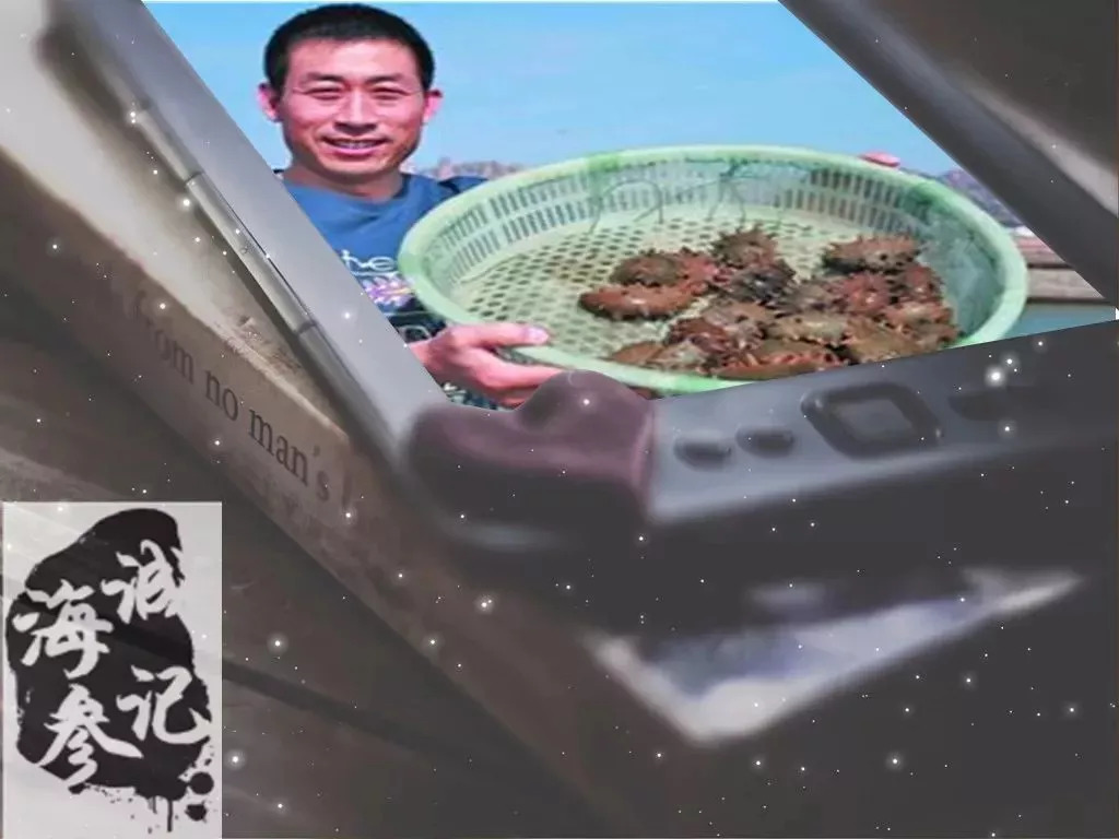 66岁母亲买海参,66岁母亲卖海参