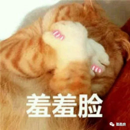 这家游戏公司可以实现你所有的梦想，而我们帮你找到了它