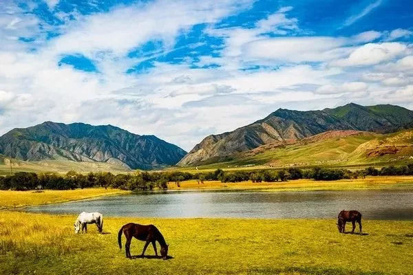 秋天甘南旅游攻略,看甘南草原风光