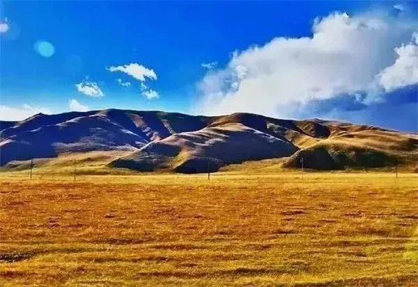 秋天甘南旅游攻略,看甘南草原风光