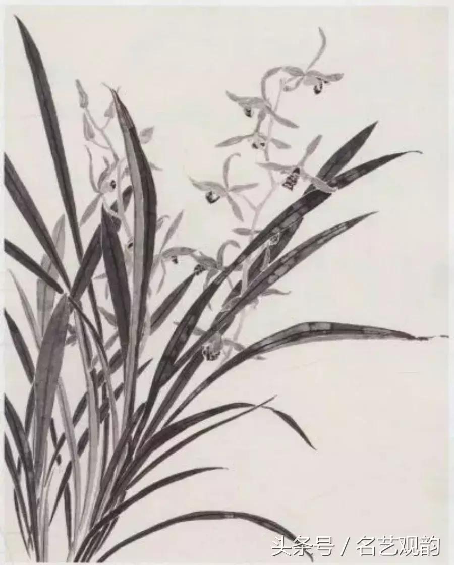 中国画技法之没骨画法的经典范画,没骨画法和写意画的区别