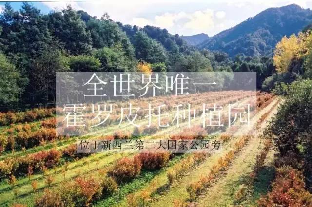 秋冬嘴角干燥、脱皮、发炎？涂点这个，立刻还你幼嫩双唇，让人想要一亲芳泽！