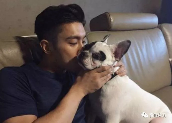 玻尿酸网红殴打孕妇，还请水军洗白？这年头法盲都那么嚣张了吗