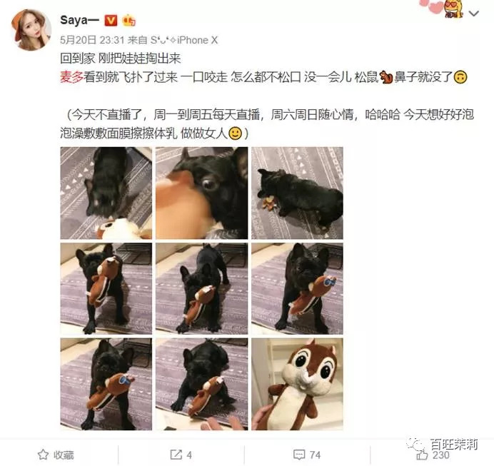 玻尿酸网红殴打孕妇，还请水军洗白？这年头法盲都那么嚣张了吗