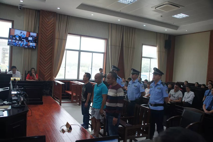 贩毒也搞“桃园结义”三毒贩出庭受审