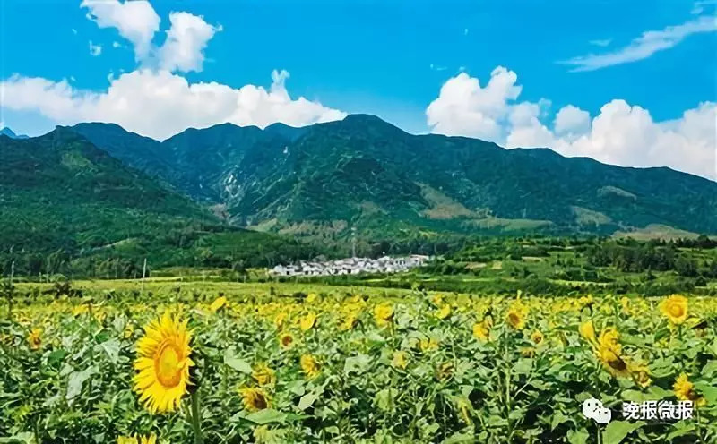 这项决定帮你读懂另一个西安——2035，看看西安带来怎样的惊喜