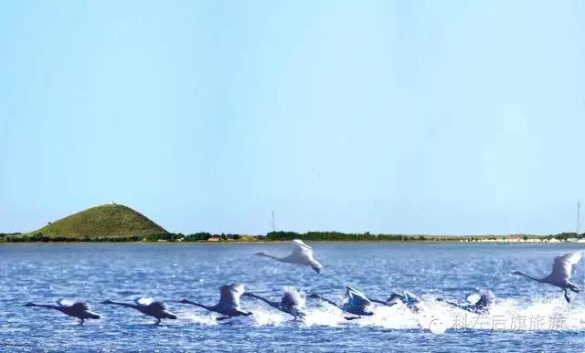 美丽的阿古拉草原旅游区,美丽的阿古拉
