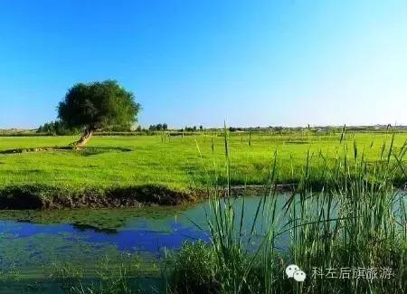 美丽的阿古拉草原旅游区,美丽的阿古拉