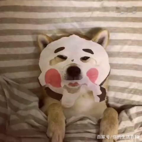 比sk2还贵的面膜,skii平价面膜推荐