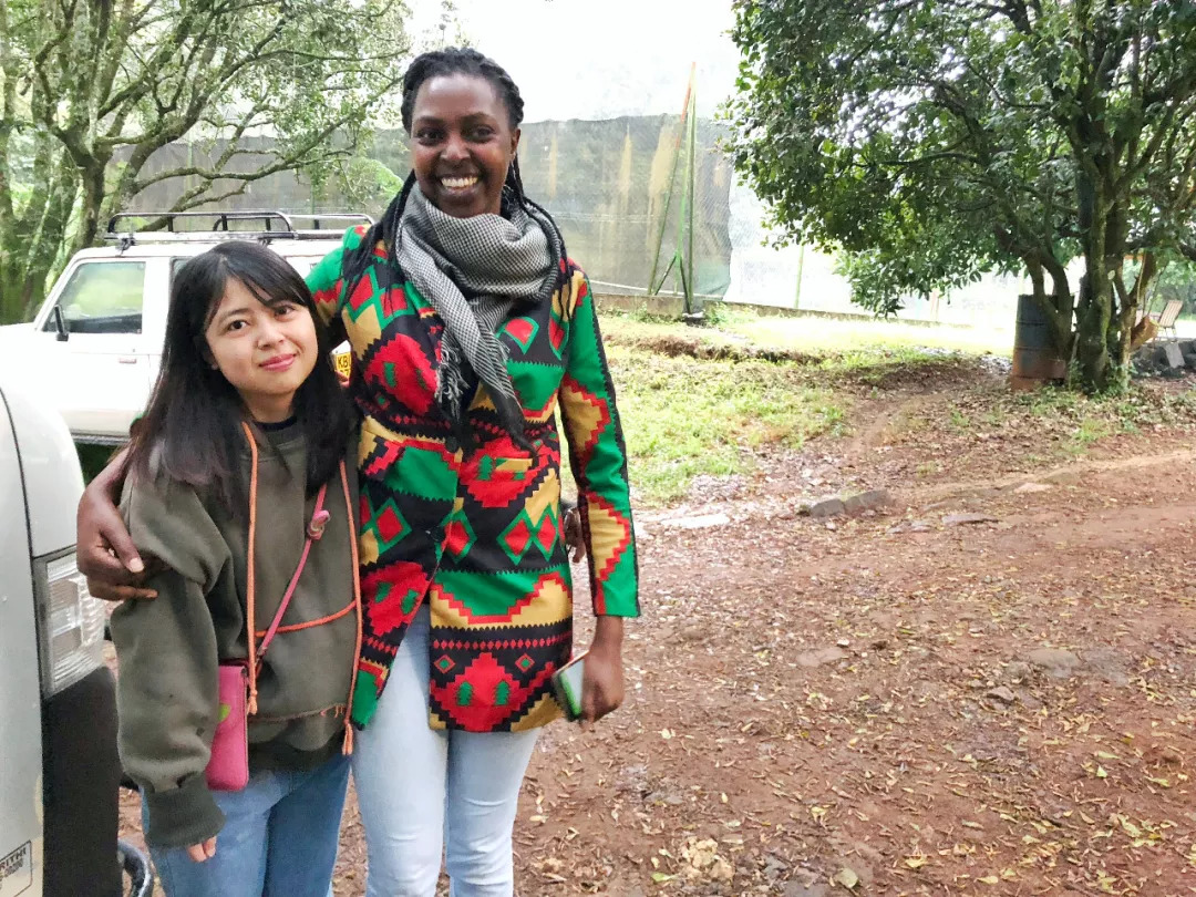 肯尼亚│我没有错过非洲，错过动物大迁徙