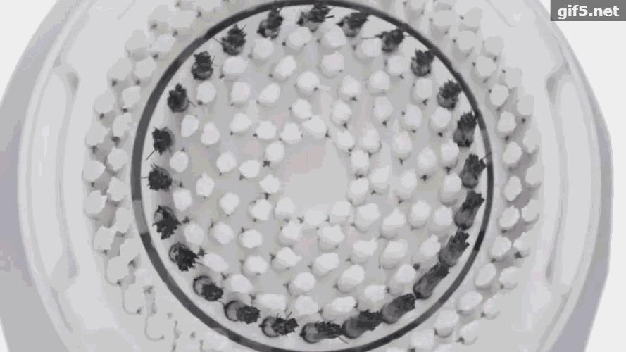 洁面仪真的比手动洗脸干净吗,洁面仪用什么洗得干净