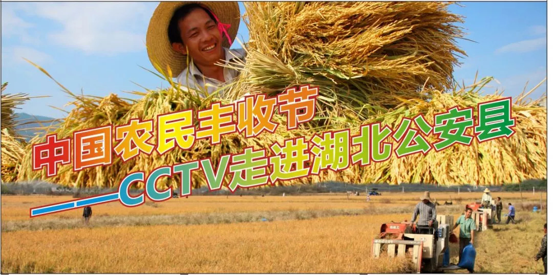 丰收节晚会直播中央1台几点开始,中央一套丰收节晚会现场直播高清