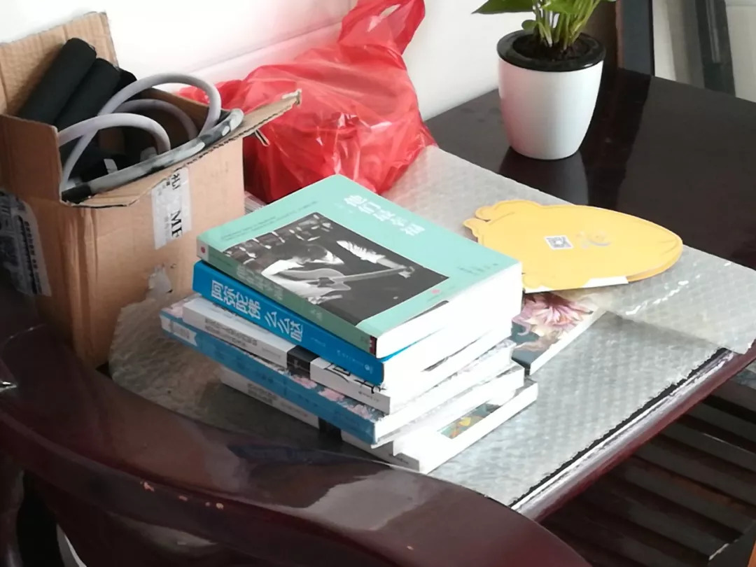 峨眉山跳崖女孩儿,峨眉山跳崖女孩子