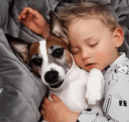 全球生命倒计时30天,倒计时三天过年了你们都回去了吗