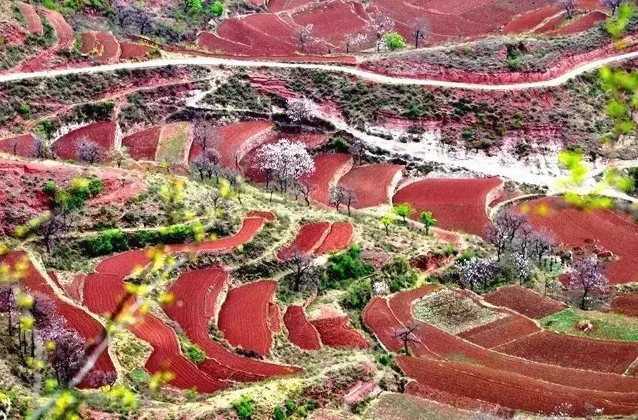 国内最美的十大海滨城市,国内最撩人的20个金秋童话